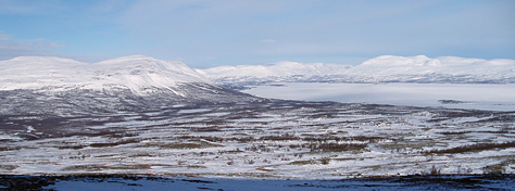 vinter_webb2